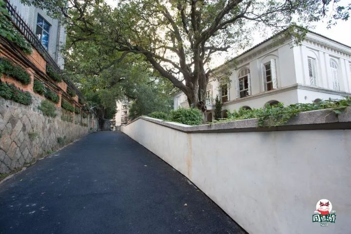 福州好玩拍照好看的地方,福州3-4月份赏花位置