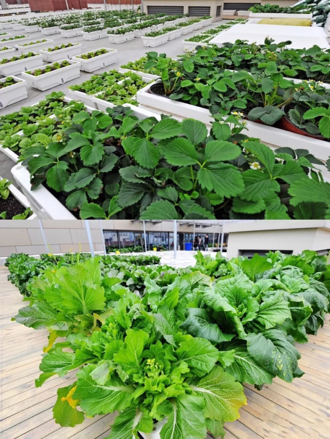 2022年不做实体店生意可以做什么,2020不做电商能做什么