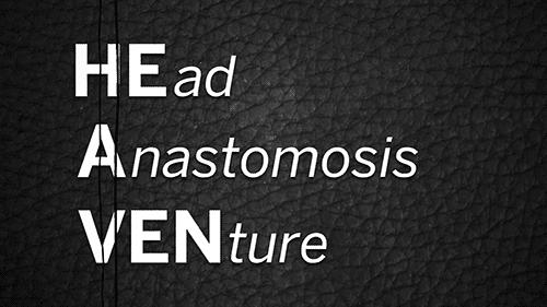 换头狂人卡纳韦洛