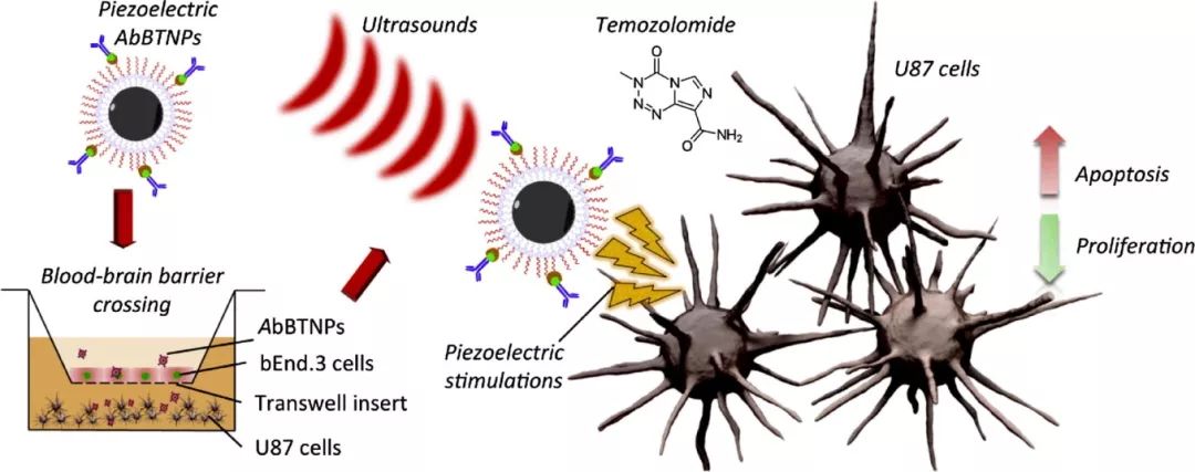 科学家做电击实验,科学家宣布发现恶性脑瘤新疗法