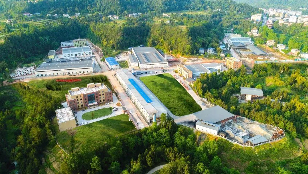 恩阳高考成绩喜报2023,恩阳高考成绩喜报