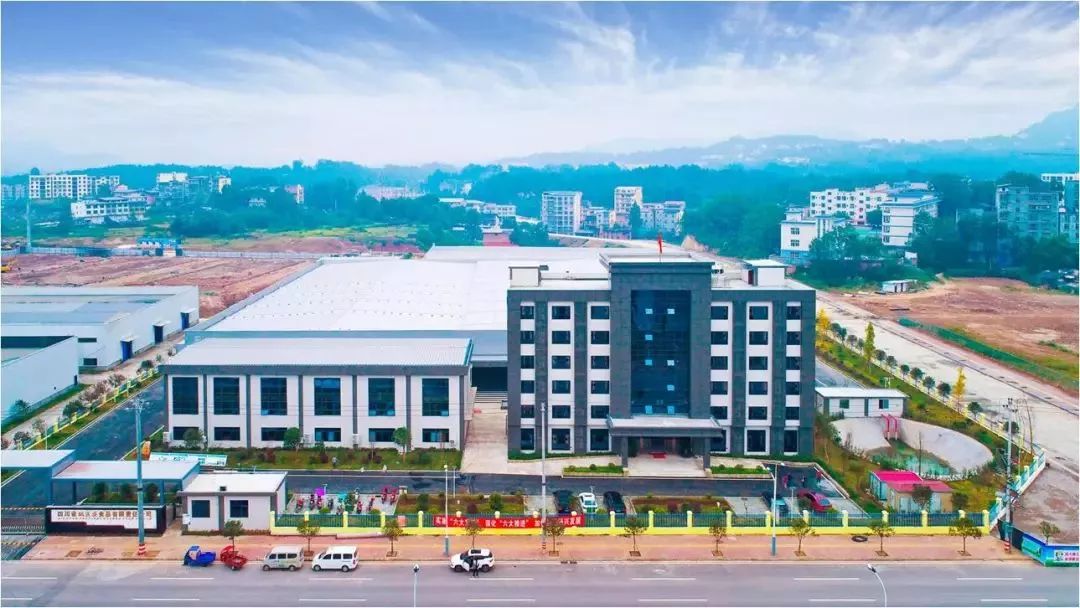 恩阳高考成绩喜报2023,恩阳高考成绩喜报