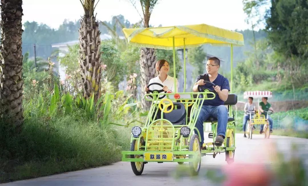 恩阳高考成绩喜报2023,恩阳高考成绩喜报