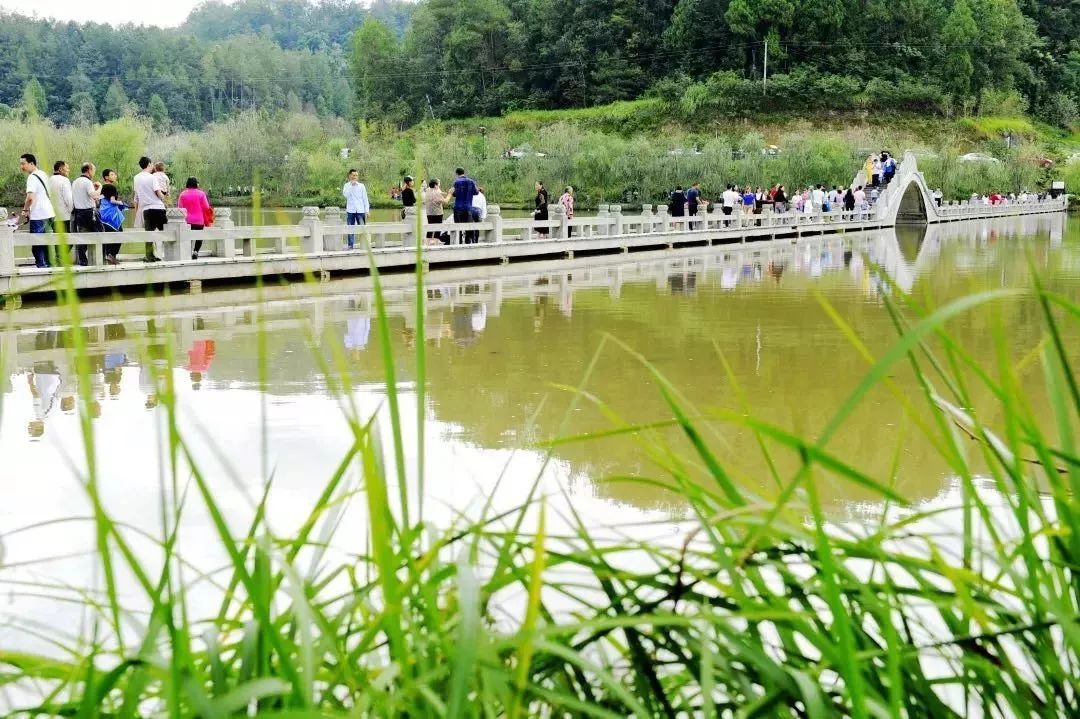 恩阳高考成绩喜报2023,恩阳高考成绩喜报