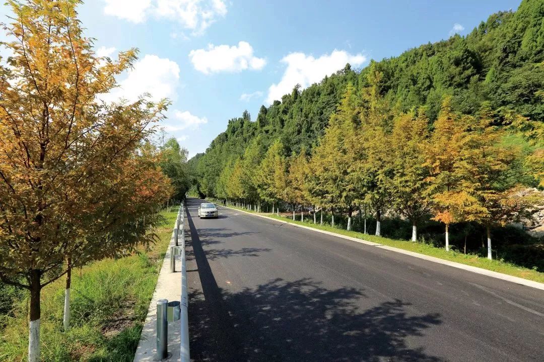 恩阳高考成绩喜报2023,恩阳高考成绩喜报