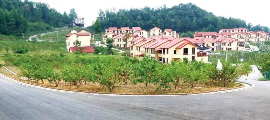 恩阳高考成绩喜报2023,恩阳高考成绩喜报