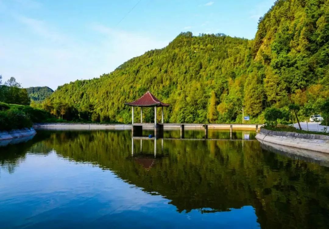 恩阳高考成绩喜报2023,恩阳高考成绩喜报