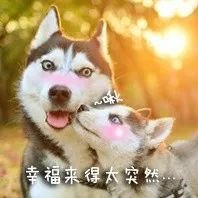 向女生表白她会紧张吗,跟她表白她很犹豫