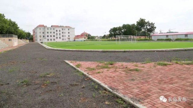 见证青岛的变迁史,见证40年巨变