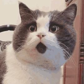 被省里曝光了！临沂这个男子春节要换个地方过年了……