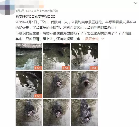 趵突泉池养海豹图片,趵突泉水池里竟然有海豹出没