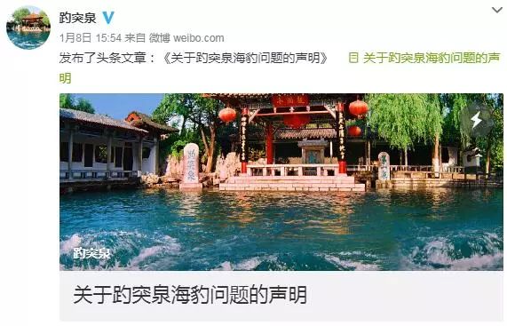 趵突泉池养海豹图片,趵突泉水池里竟然有海豹出没