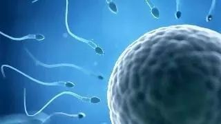 关注|拿完购物小票不洗手?小心TA乘虚而入