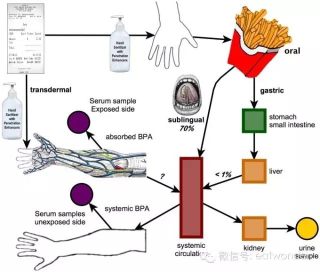 关注|拿完购物小票不洗手?小心TA乘虚而入