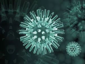 耳鼻喉医话｜年终体检发现EB病毒阳性，我该怎么办？