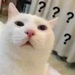 真假cc精华,假货重灾区有哪些