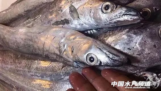 年前的海鲜市场：天气越冷，卖得越火！海味零食成蓝海