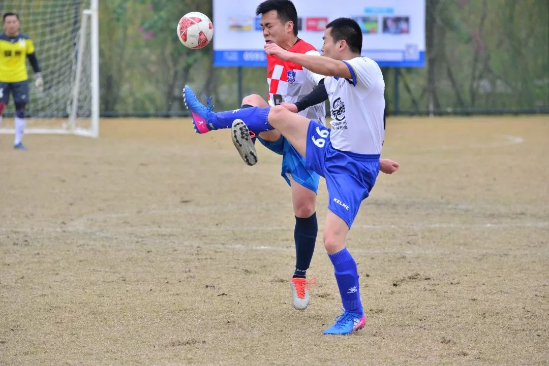 警界雄鹰,警界雄鹰打黑风暴