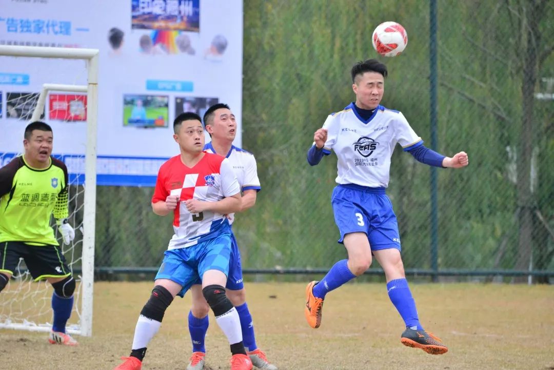 警界雄鹰,警界雄鹰打黑风暴