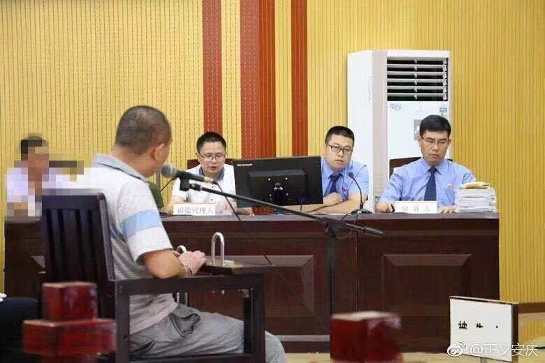 十大检察典型案例,检察典型案例汇展