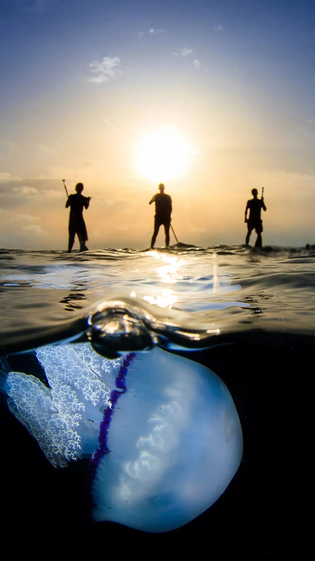 100张自然风景美图,100张自然风景微信头像手机壁纸