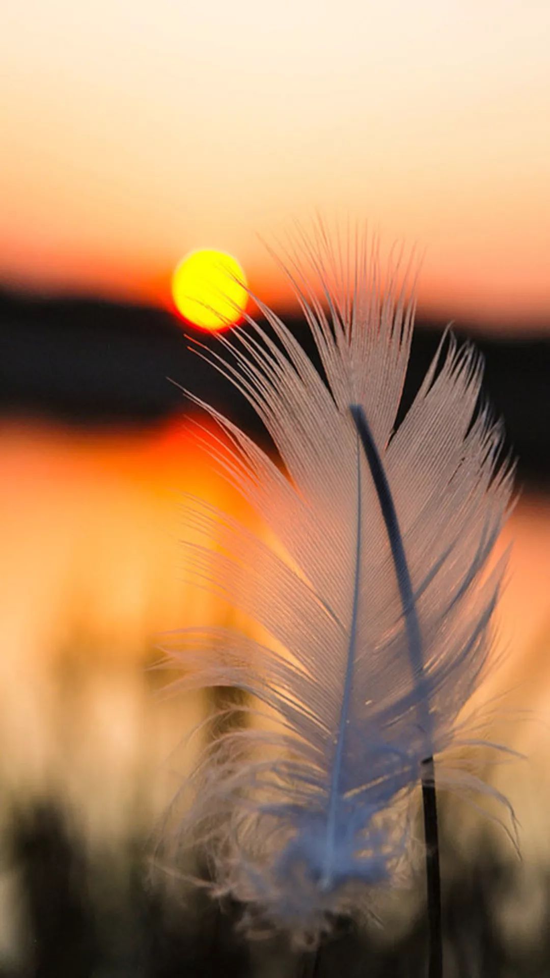 100张自然风景美图,100张自然风景微信头像手机壁纸