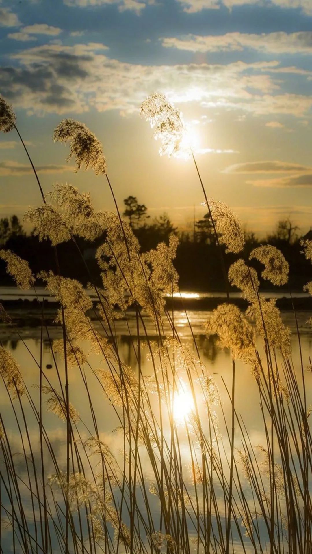 100张自然风景美图,100张自然风景微信头像手机壁纸