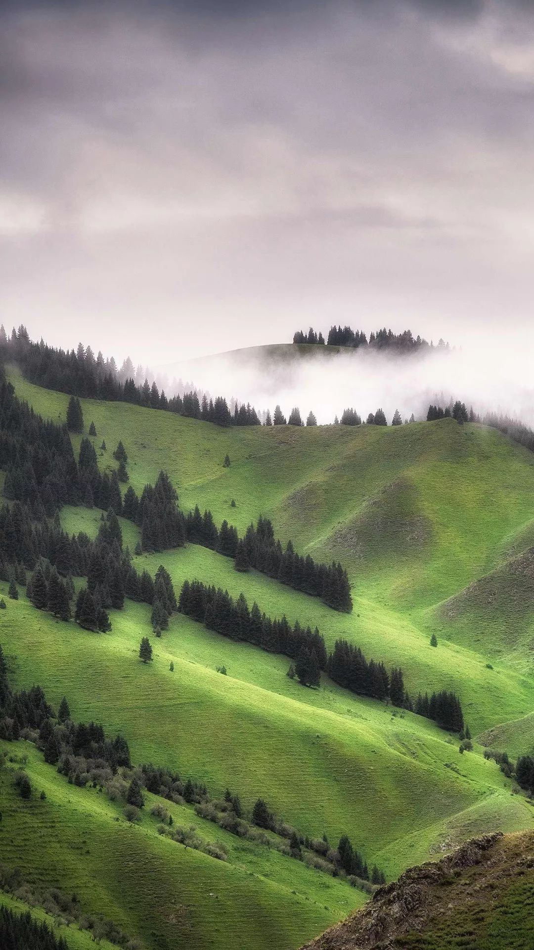 100张自然风景美图,100张自然风景微信头像手机壁纸