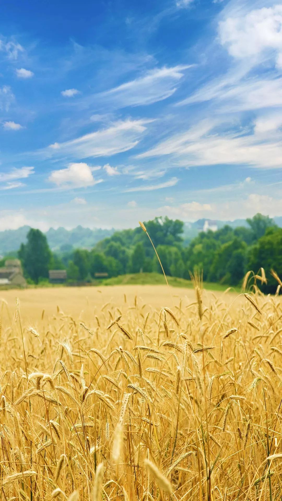 100张自然风景美图,100张自然风景微信头像手机壁纸