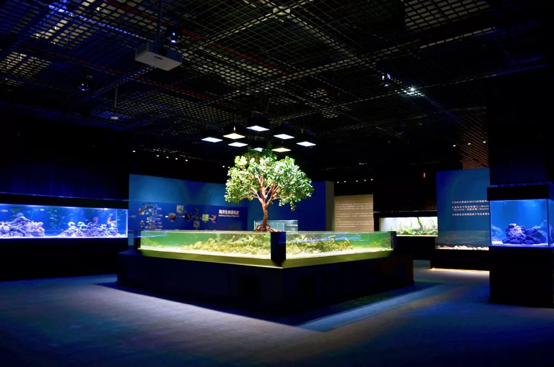 厦门翔安海洋馆门票价格,翔安澳头海洋馆