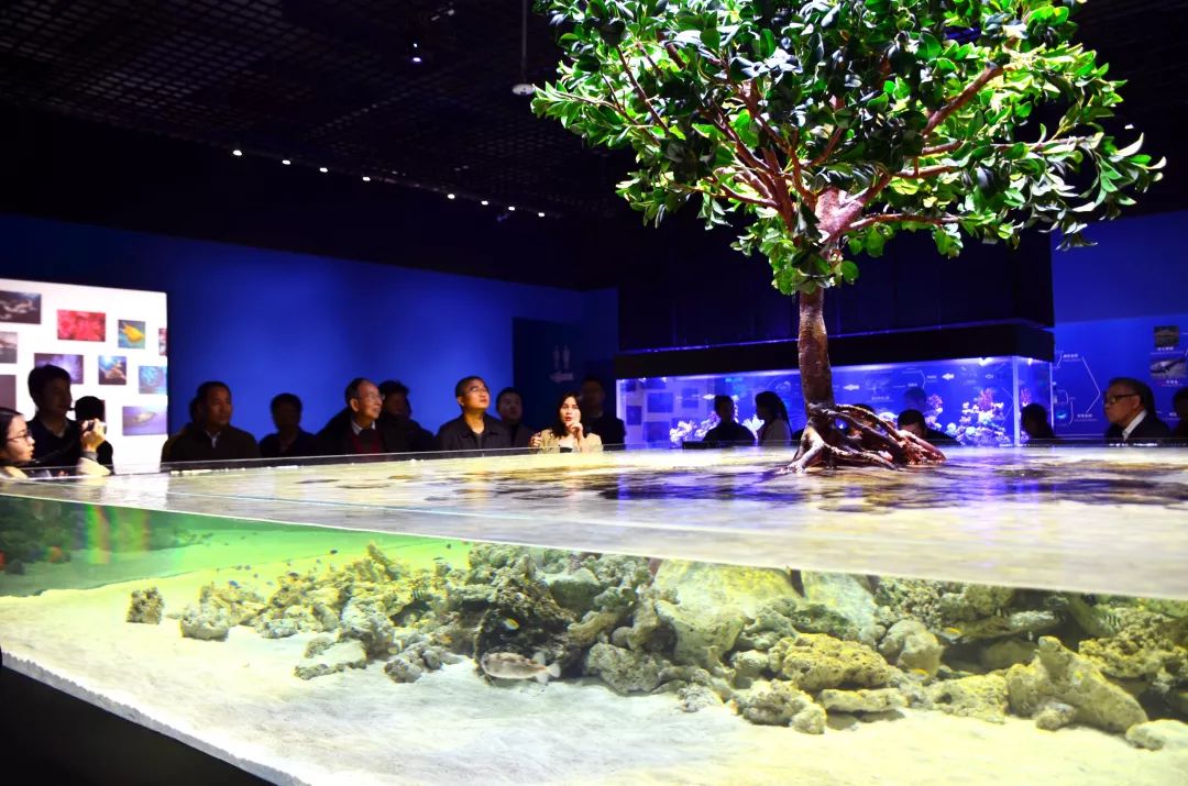 厦门翔安海洋馆门票价格,翔安澳头海洋馆