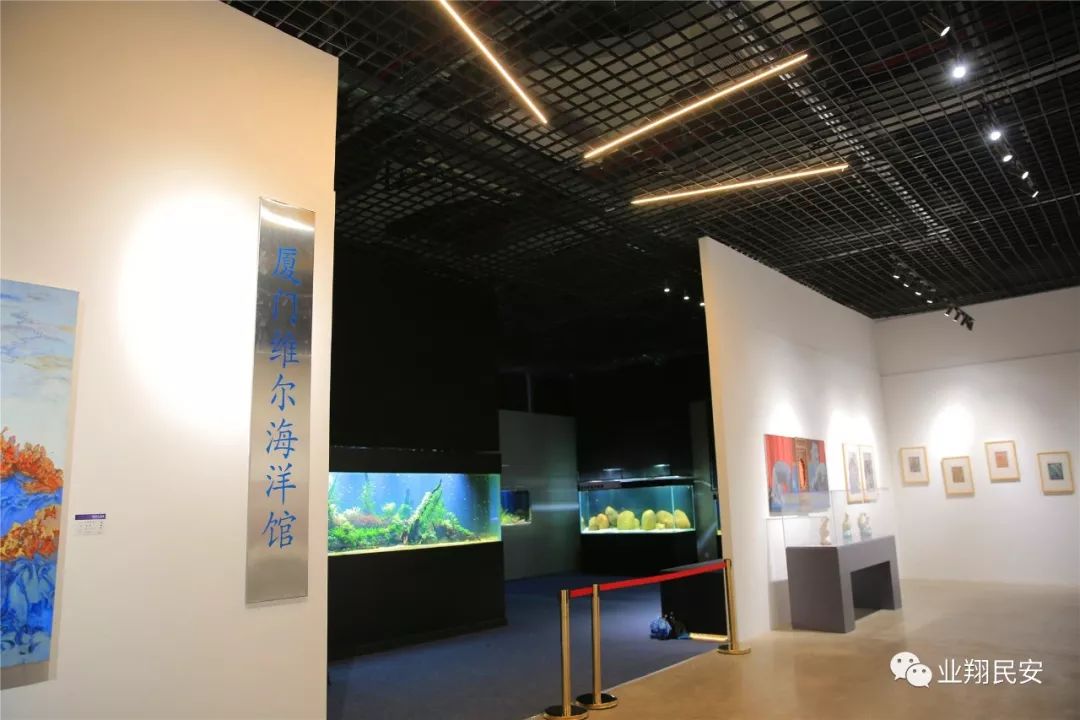 厦门翔安海洋馆门票价格,翔安澳头海洋馆