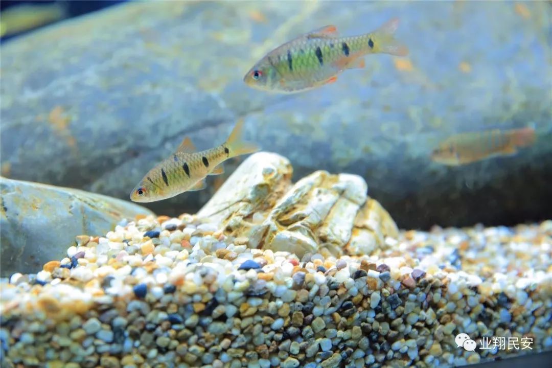 厦门翔安海洋馆门票价格,翔安澳头海洋馆