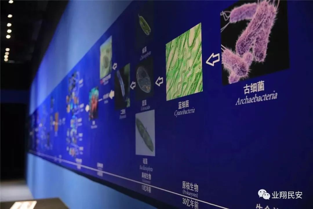 厦门翔安海洋馆门票价格,翔安澳头海洋馆