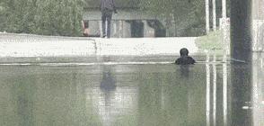 别再把炒菜费油倒水池里了!后果很恐怖