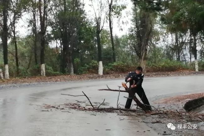 禄丰交警全力做好恶劣天气交通管理工作