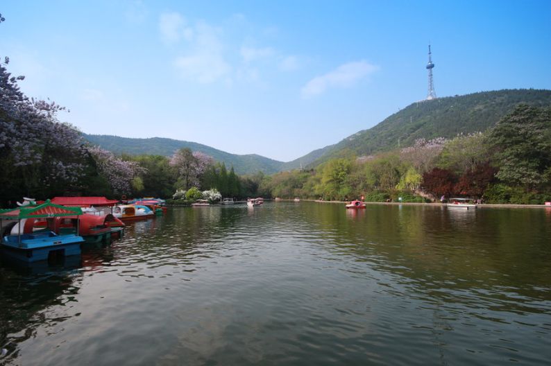 相山公园恢复,相山新公园