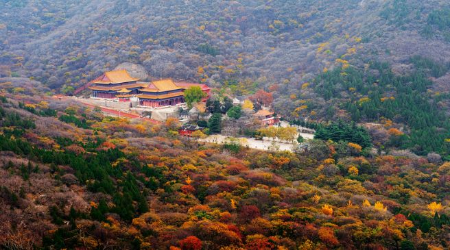 相山公园恢复,相山新公园