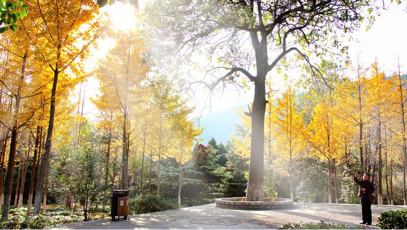 相山公园恢复,相山新公园