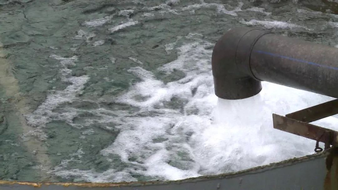 汉源俊磊锌业科技有限公司,汉源俊磊科技有限公司重组