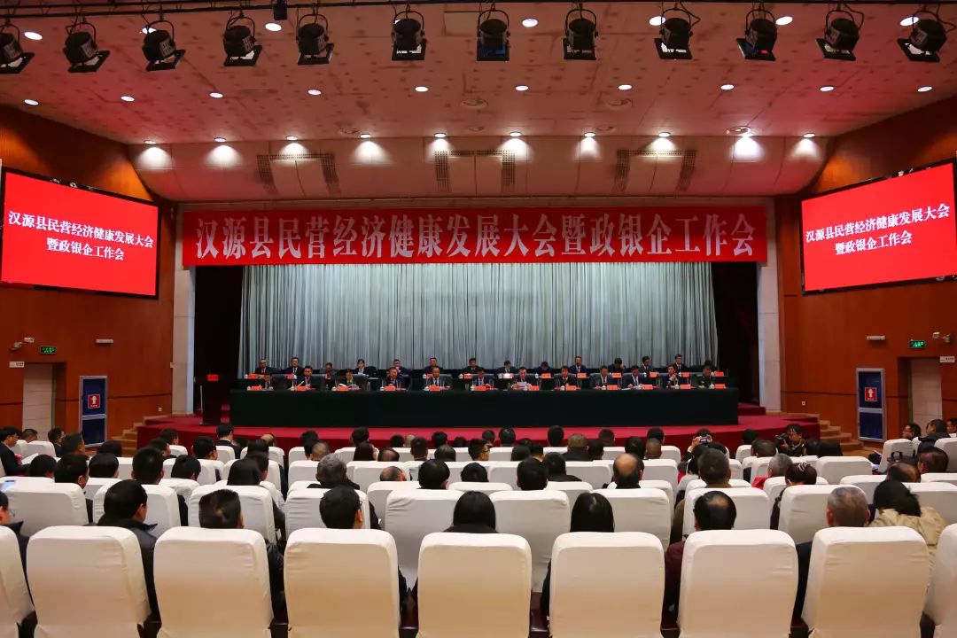 汉源俊磊锌业科技有限公司,汉源俊磊科技有限公司重组