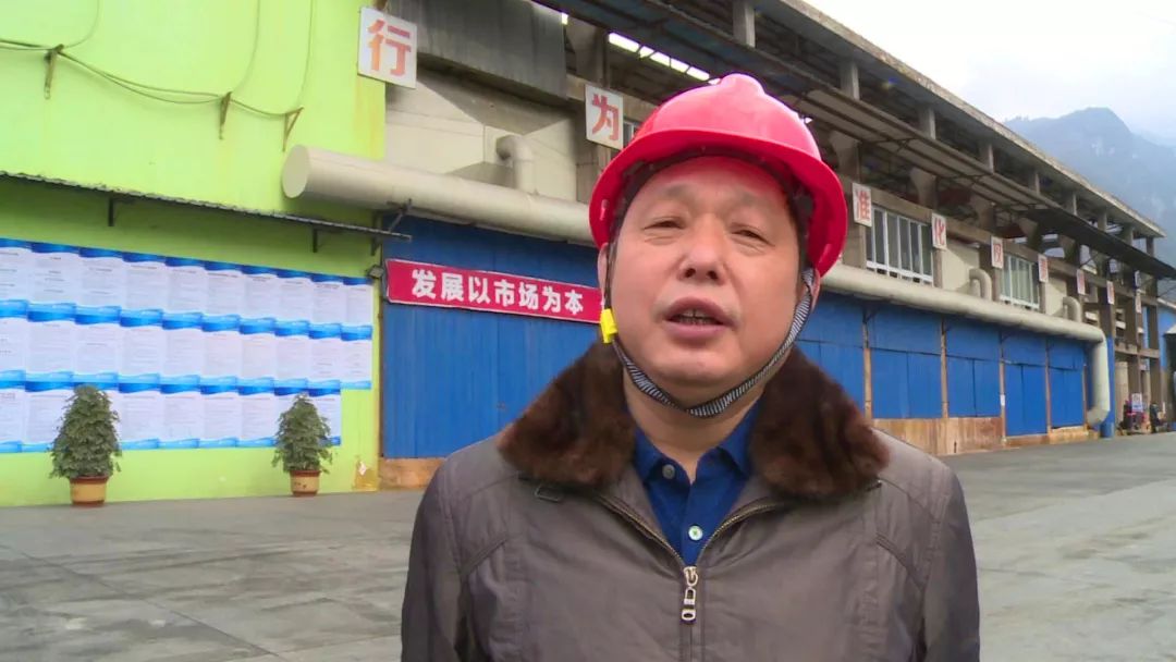 汉源俊磊锌业科技有限公司,汉源俊磊科技有限公司重组