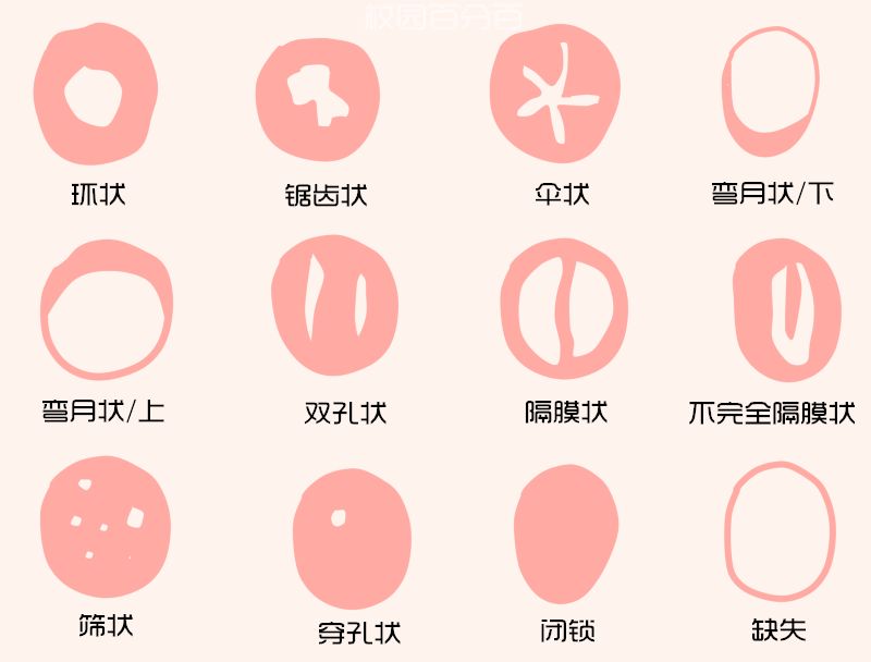 “男票发现我用卫生棉条，要分手怎么办？”