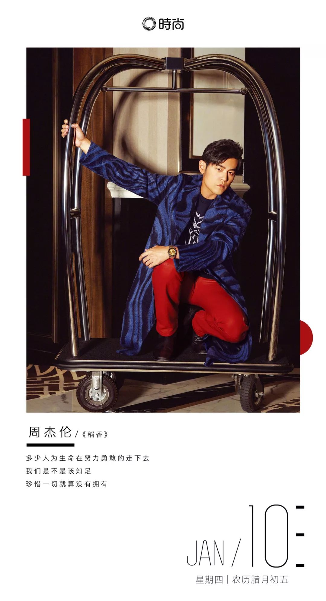 让你心甘情愿掏腰包的罪魁祸手，居然都是动物！