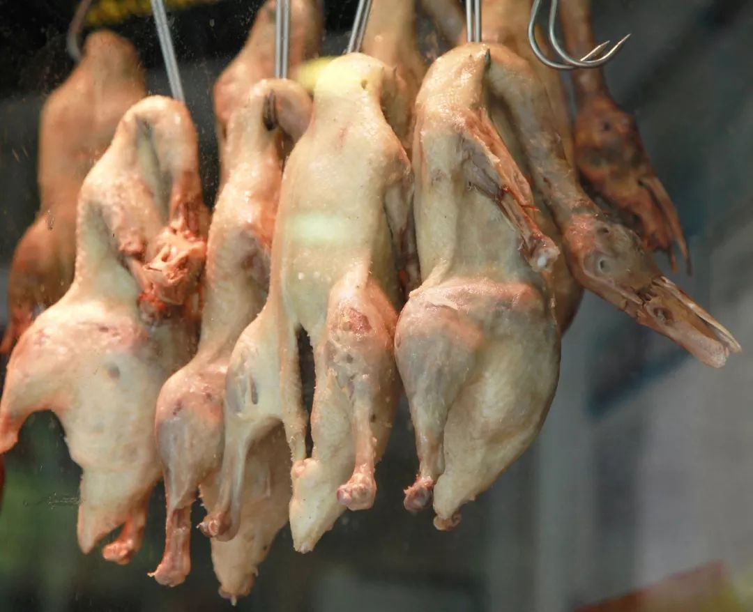 中国哪里的鸭子最多,中国哪个地方的鸭子最出名