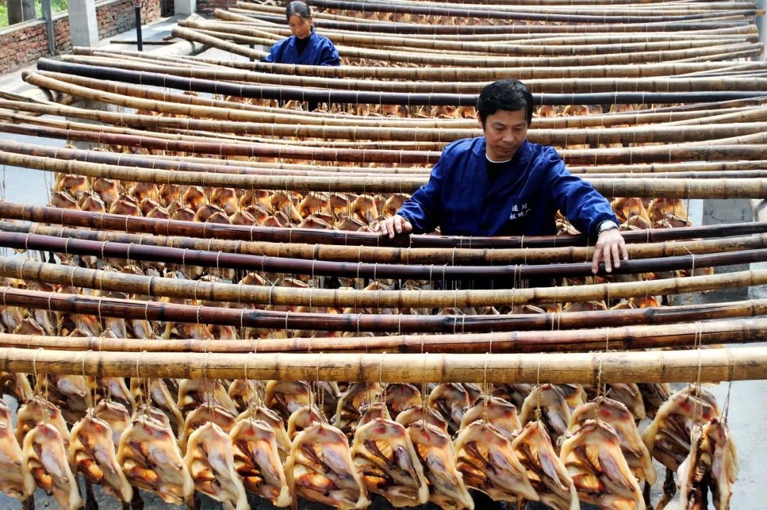 中国哪里的鸭子最多,中国哪个地方的鸭子最出名