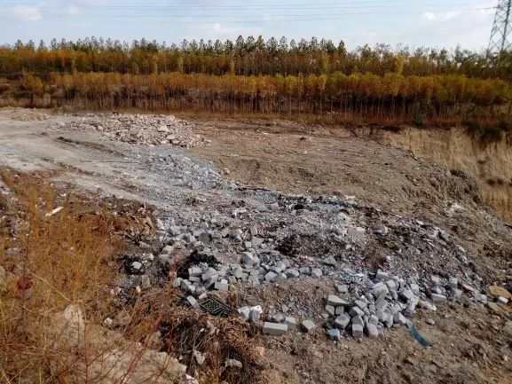 山东PITI再发布——绿行齐鲁12月月报