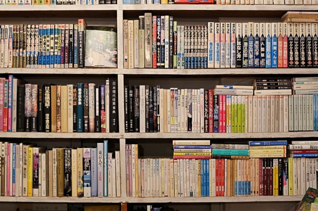 冲绳小书店巡礼:开一家“理想的旧书店”其实非常困难|吉井忍的二次会