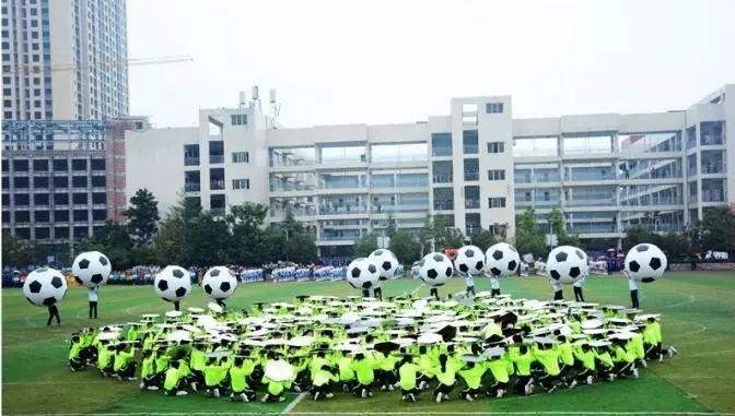 四川达州足球学校排名,成都市足球特色学校名单