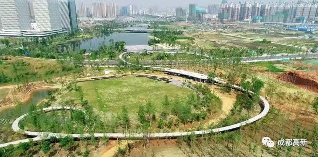 太美！空中连廊、街角绿地……成都高新串起269公里风景线